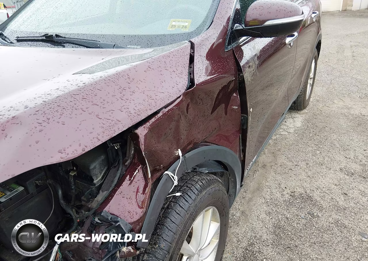 2017 Kia Sorento 3.3L Lx VIN:5XYPGDA50HG279404 - 17