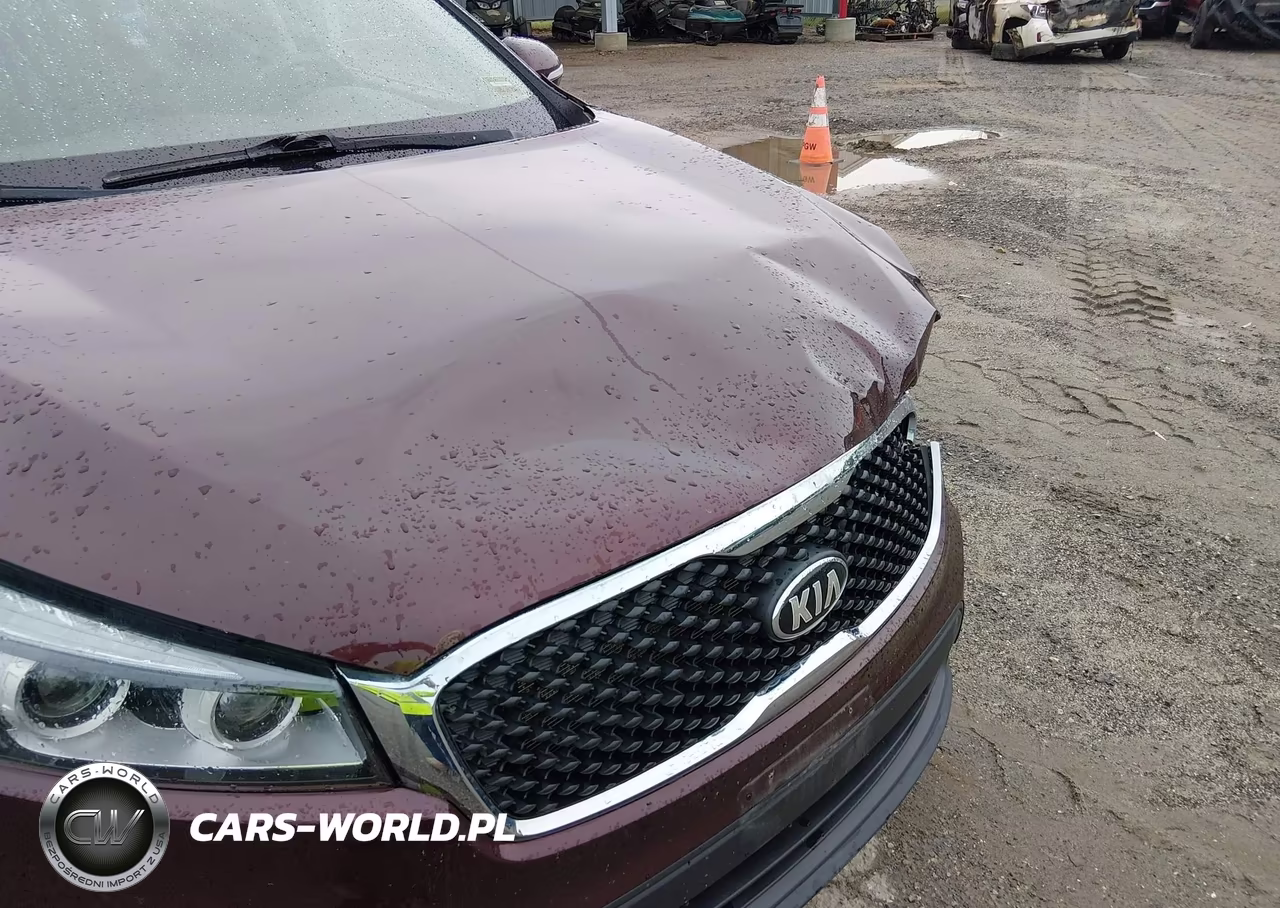 2017 Kia Sorento 3.3L Lx VIN:5XYPGDA50HG279404 - 18