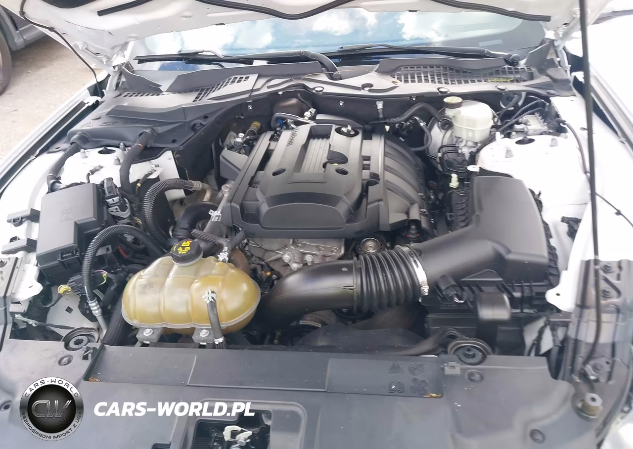 2018 Ford Mustang Ecoboost VIN:1FA6P8TH5J5107996 - 10