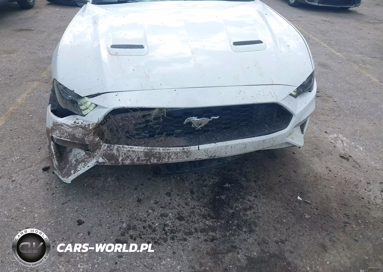 2018 Ford Mustang Ecoboost VIN:1FA6P8TH5J5107996 - 12