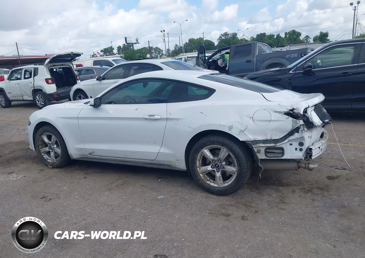 2018 Ford Mustang Ecoboost VIN:1FA6P8TH5J5107996 - 14