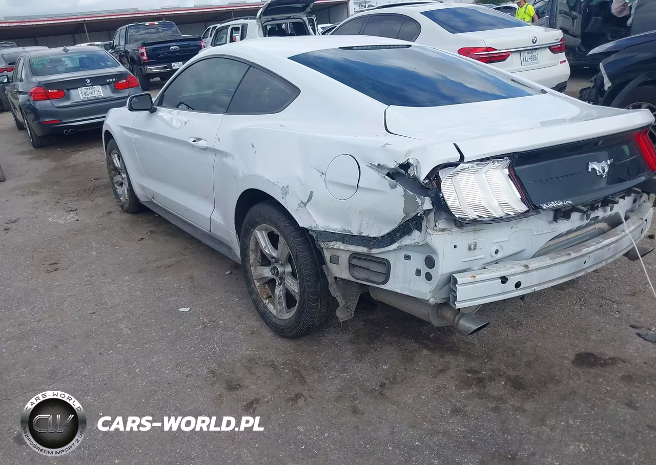 2018 Ford Mustang Ecoboost VIN:1FA6P8TH5J5107996 - 3