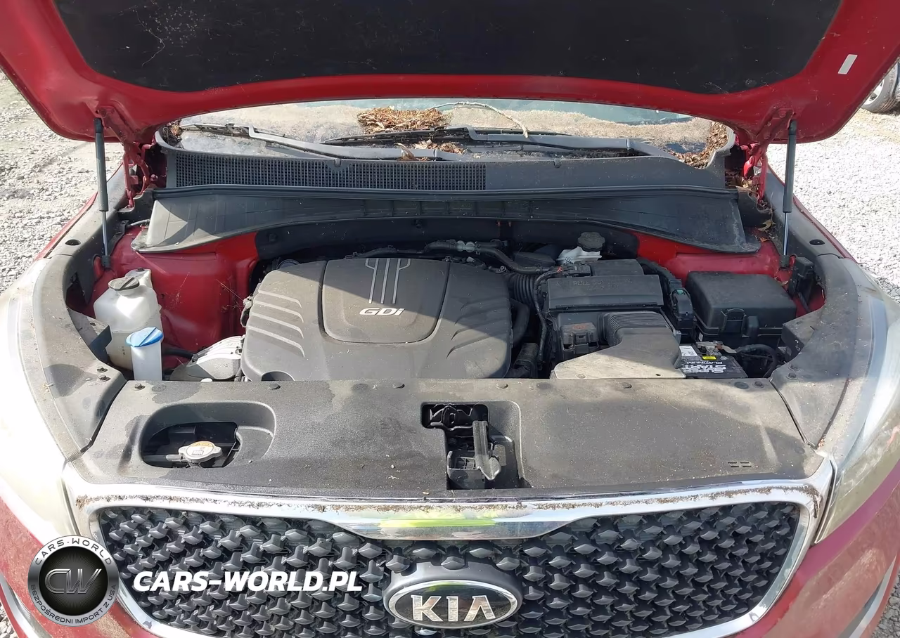 2017 Kia Sorento 3.3L Lx VIN:5XYPG4A56HG292187 - 10