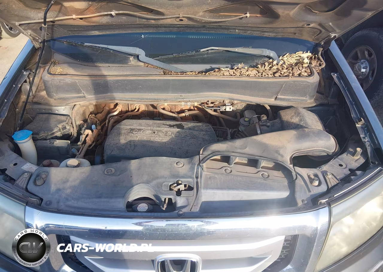 2011 Honda Pilot Ex-L VIN:5FNYF4H6XBB106624 - 10