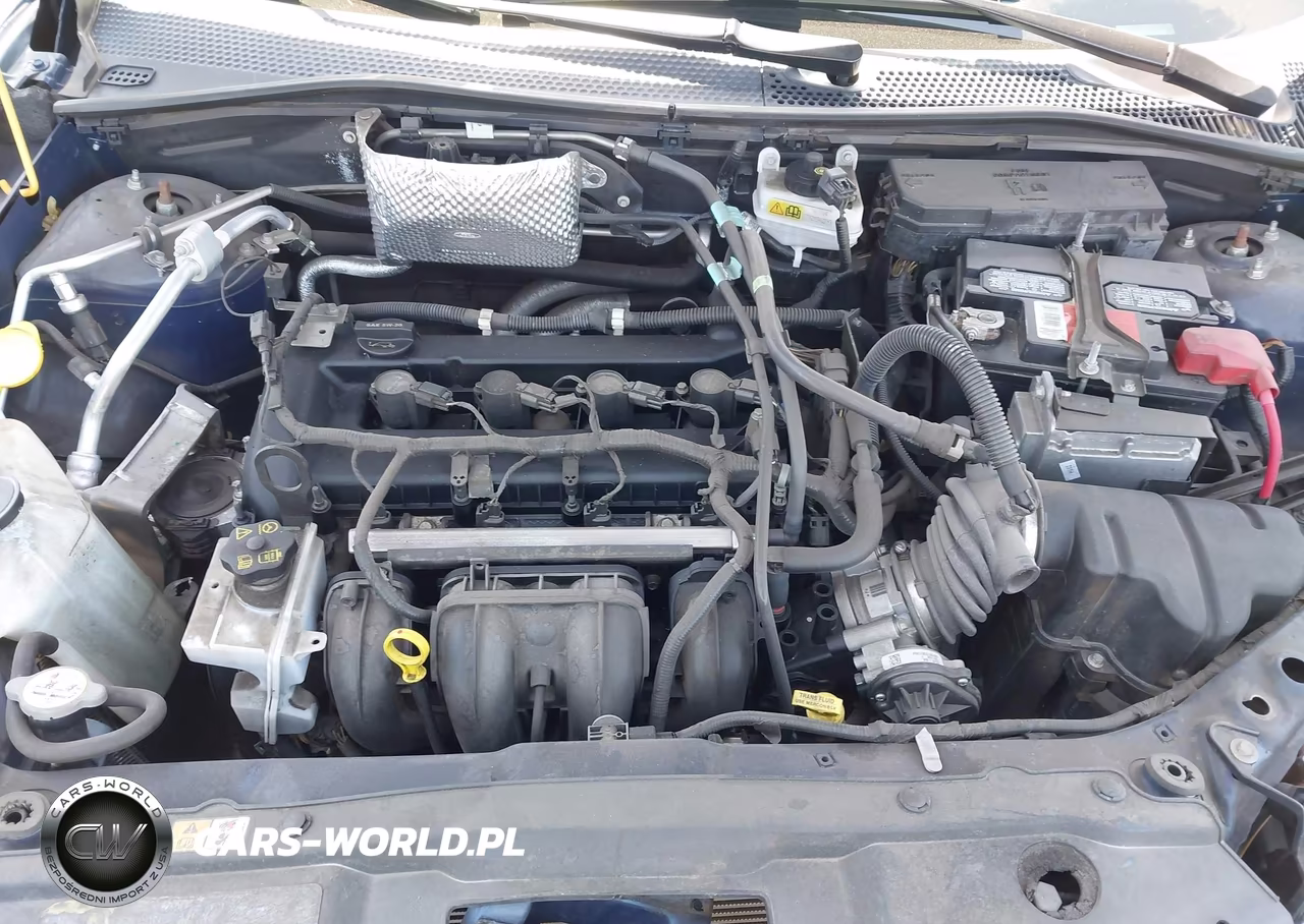 2009 Ford Focus Ses VIN:1FAHP36N39W202446 - 10