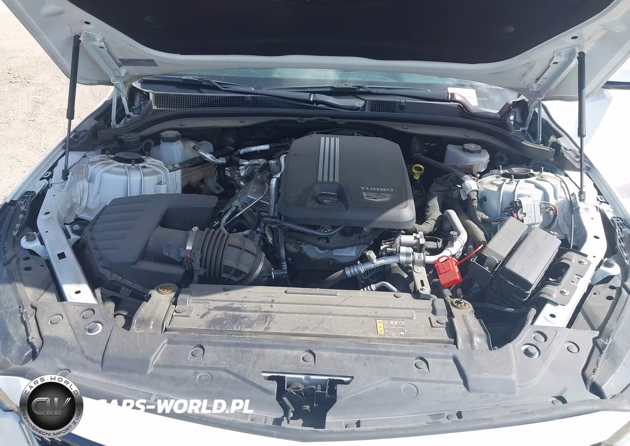 2024 Cadillac Ct5 Luxury VIN:1G6DW5RK4R0125066 - 10