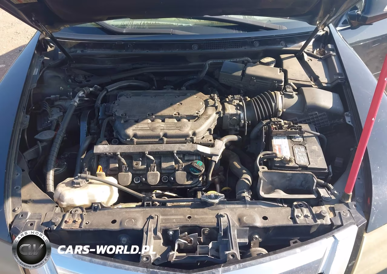2009 Acura Rl 3.7 VIN:JH4KB266X9C002178 - 10