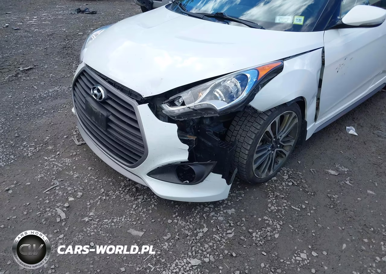 2016 Hyundai Veloster Turbo VIN:KMHTC6AE2GU279452 - 6