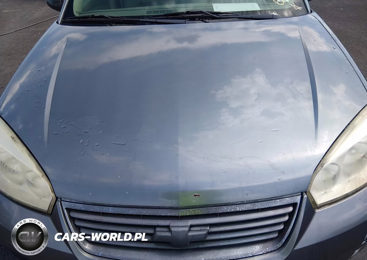 2006 Chevrolet Malibu Ls VIN:1G1ZS51FX6F200190 - 10