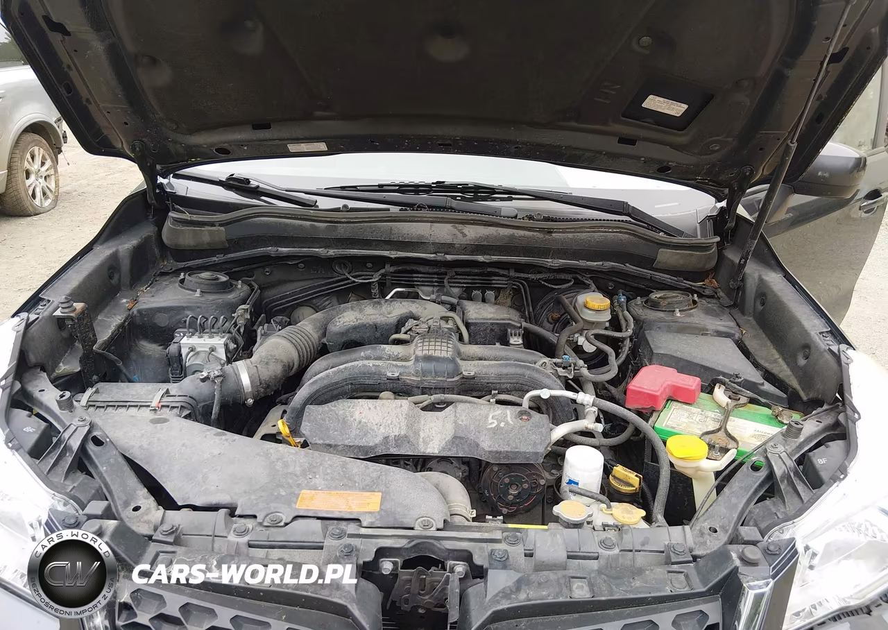 2015 Subaru Forester 2.5I Premium VIN:JF2SJADC4FH576170 - 10