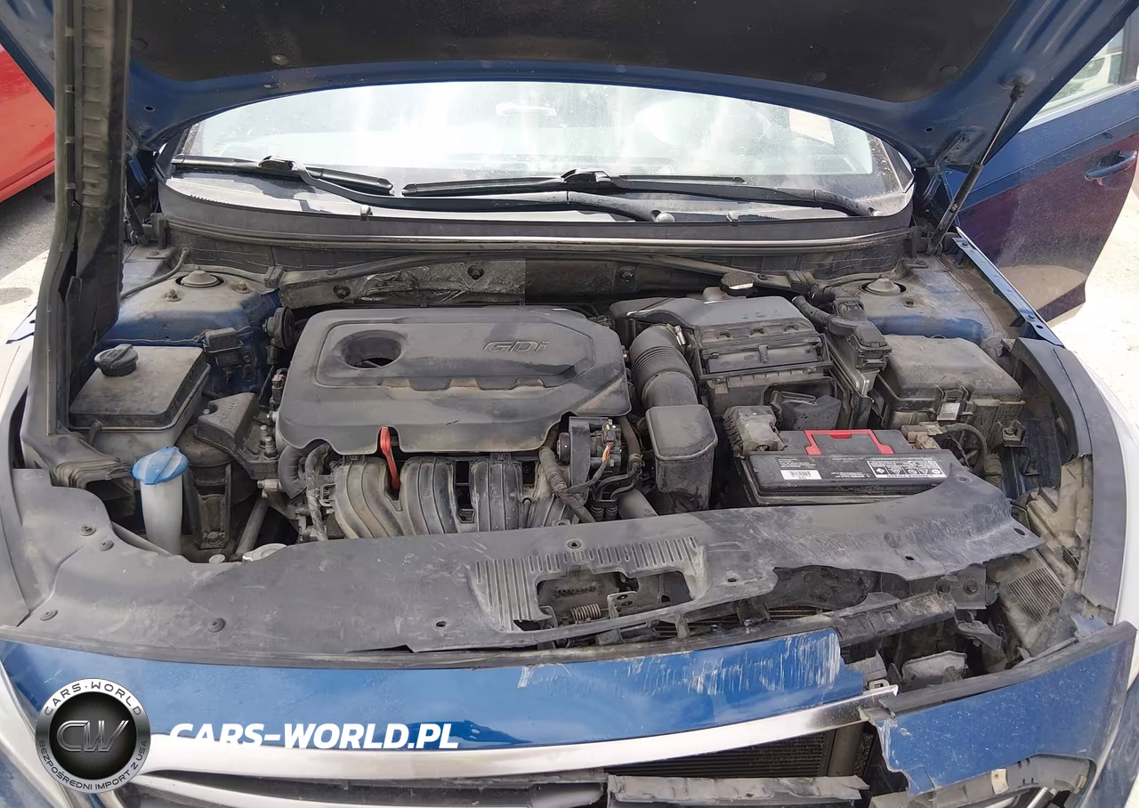 2016 Hyundai Sonata Se VIN:5NPE24AF0GH316277 - 10