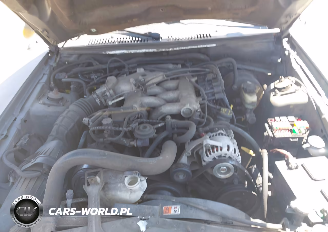 2004 Ford Mustang VIN:1FAFP446X4F169107 - 10