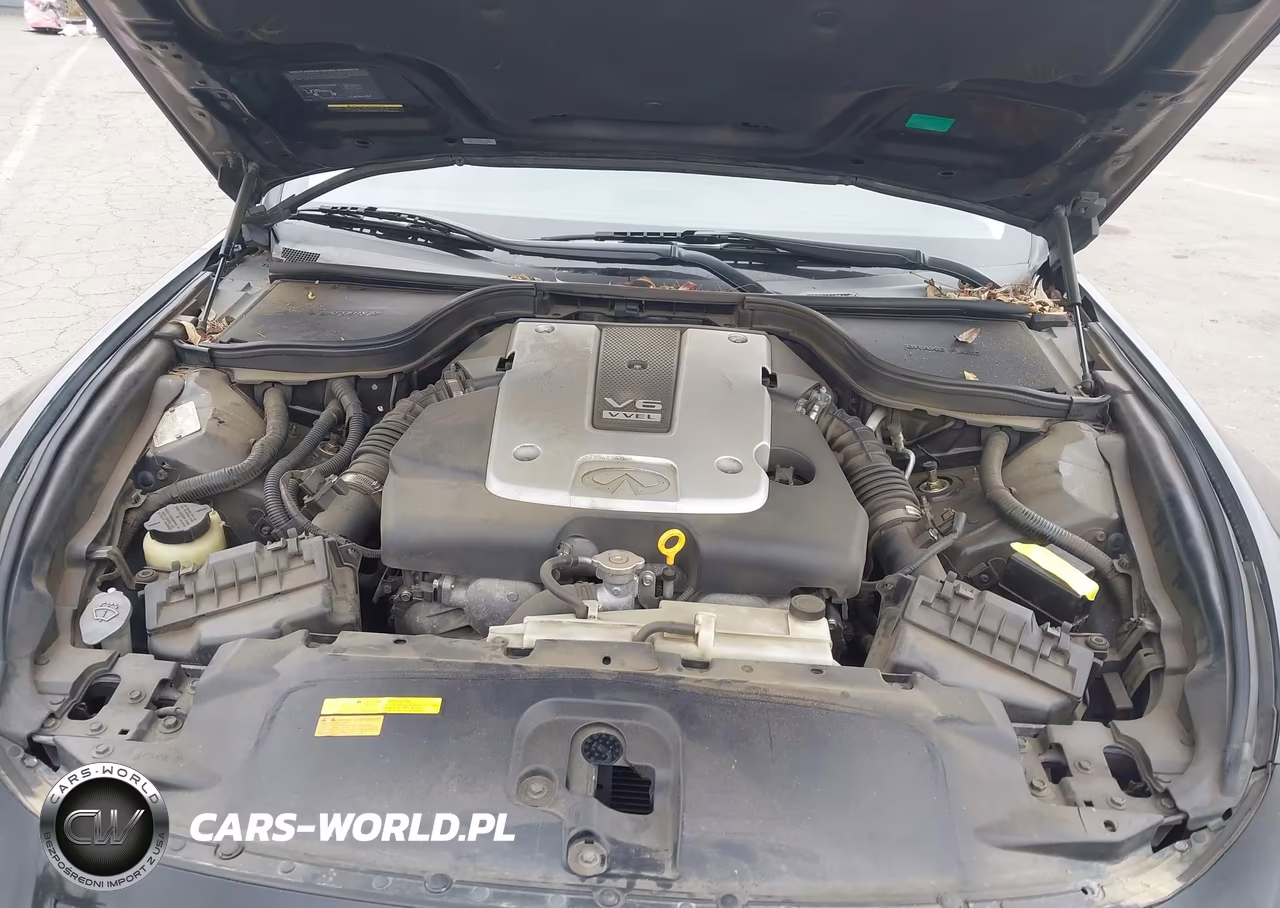 2008 Infiniti G37 Journey VIN:JNKCV64E78M114183 - 10