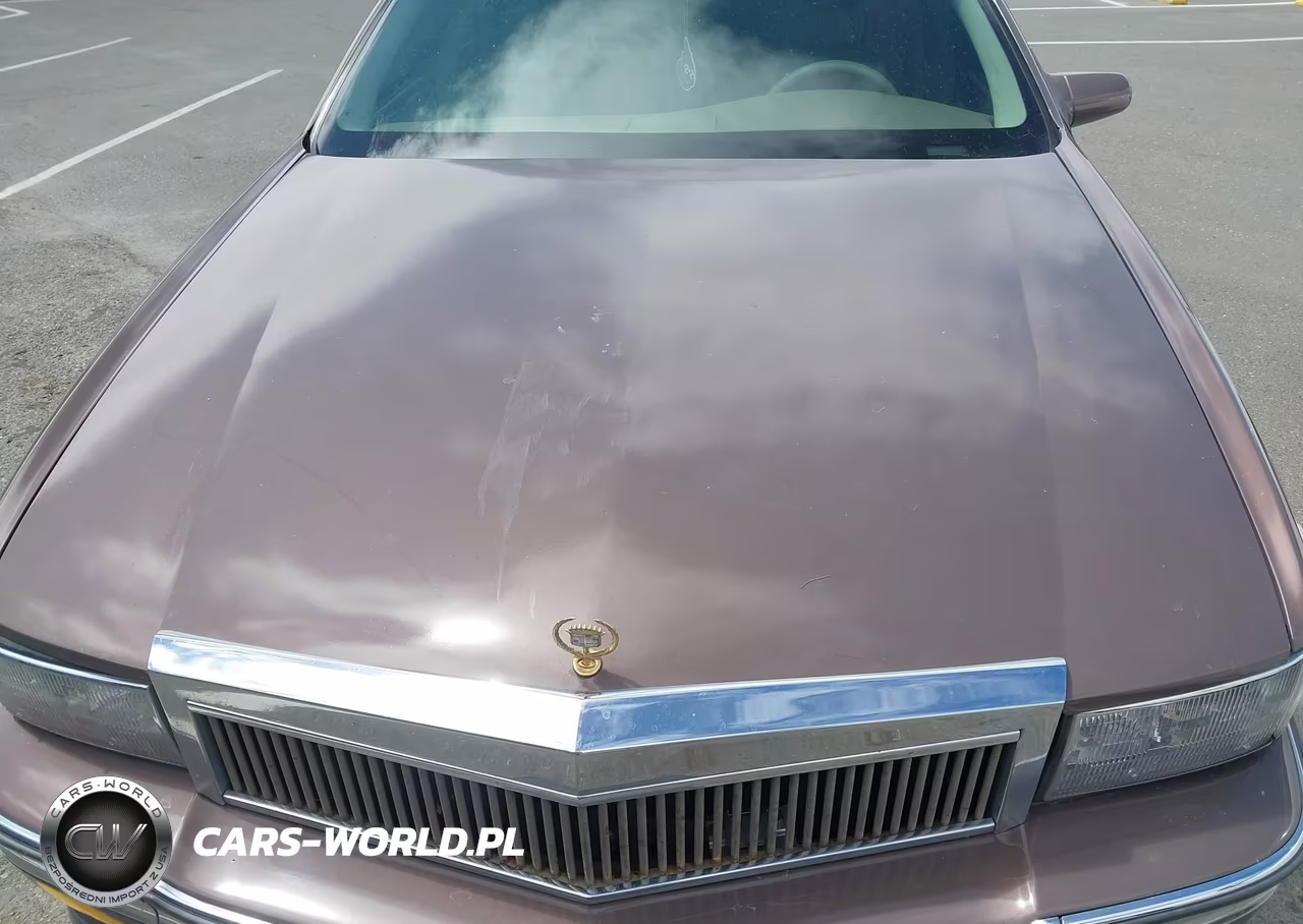 1995 Cadillac Deville VIN:1G6KD52B1SU231173 - 10