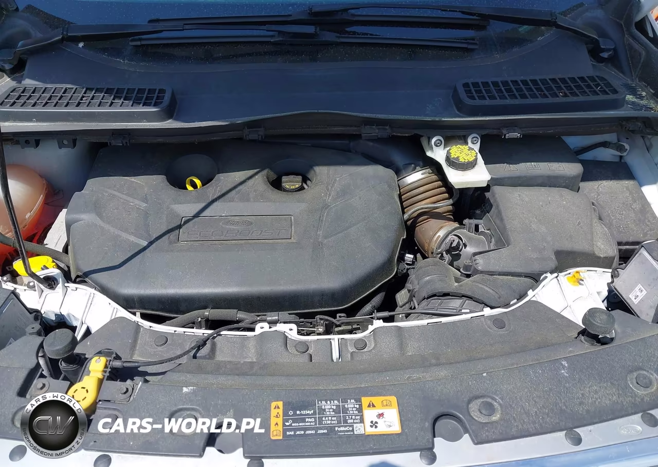 2017 Ford Escape Se VIN:1FMCU9G9XHUB55911 - 10