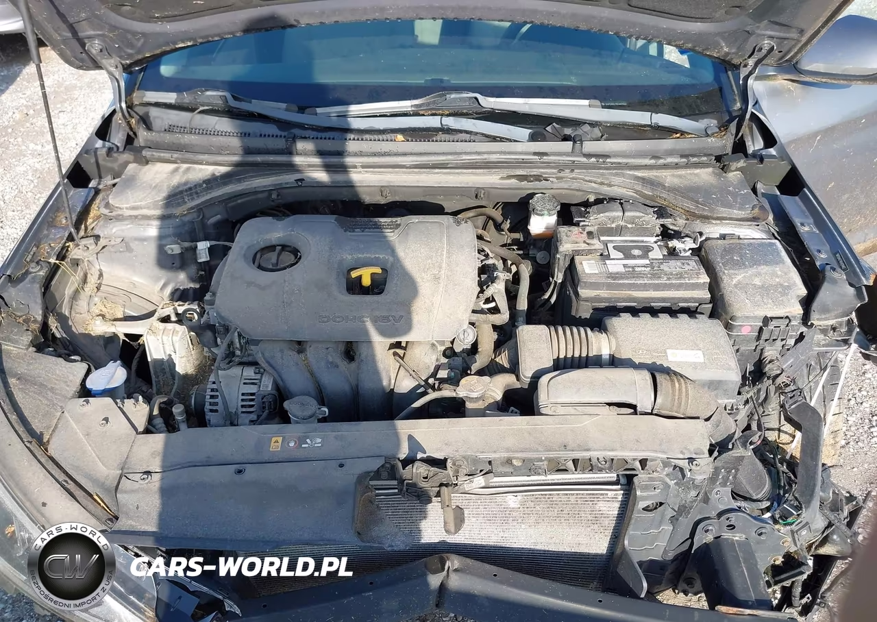2019 Hyundai Elantra Sel VIN:5NPD84LF1KH429462 - 10