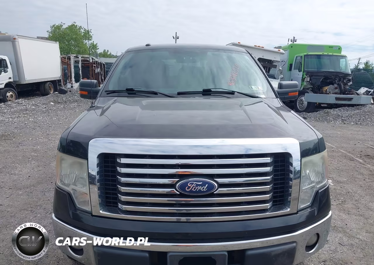 2011 Ford F-150 Xlt VIN:1FTFW1EF2BFA30080 - 12