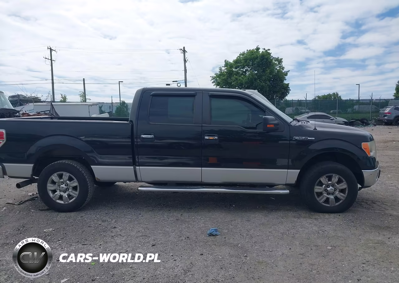 2011 Ford F-150 Xlt VIN:1FTFW1EF2BFA30080 - 13