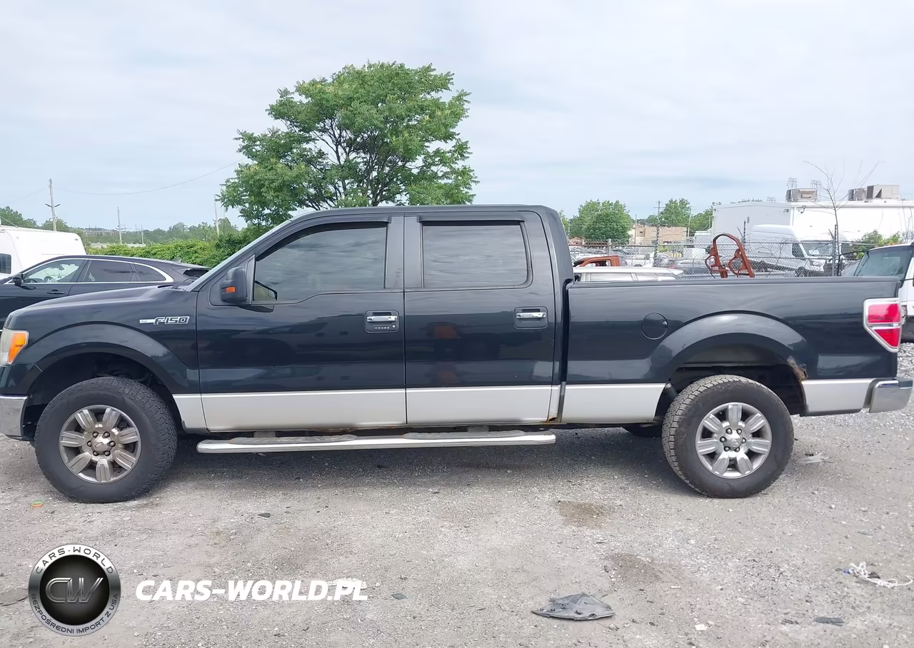 2011 Ford F-150 Xlt VIN:1FTFW1EF2BFA30080 - 14
