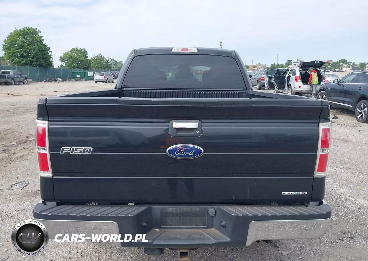 2011 Ford F-150 Xlt VIN:1FTFW1EF2BFA30080 - 16