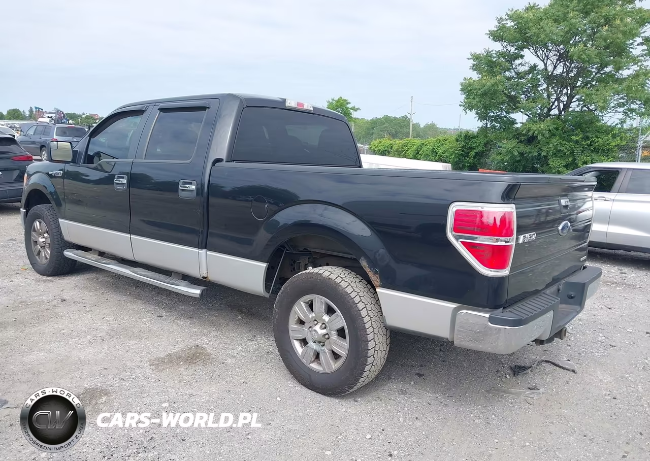 2011 Ford F-150 Xlt VIN:1FTFW1EF2BFA30080 - 3
