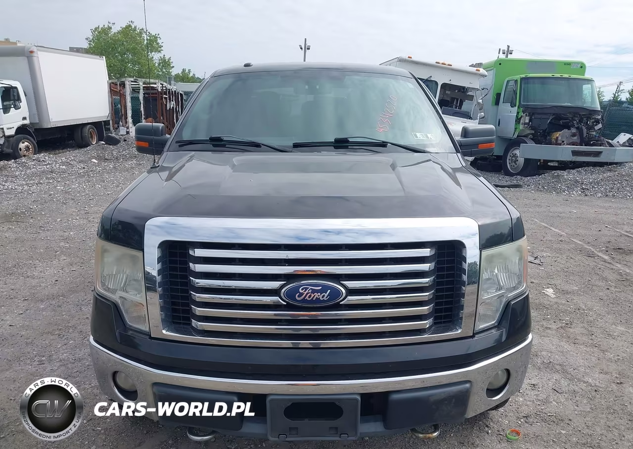 2011 Ford F-150 Xlt VIN:1FTFW1EF2BFA30080 - 6