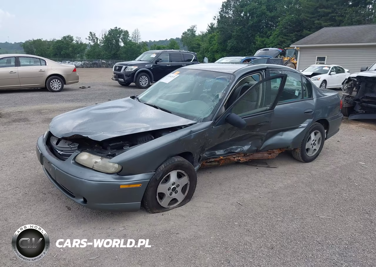 2005 Chevrolet Classic VIN:1G1ND52F95M229181 - 2