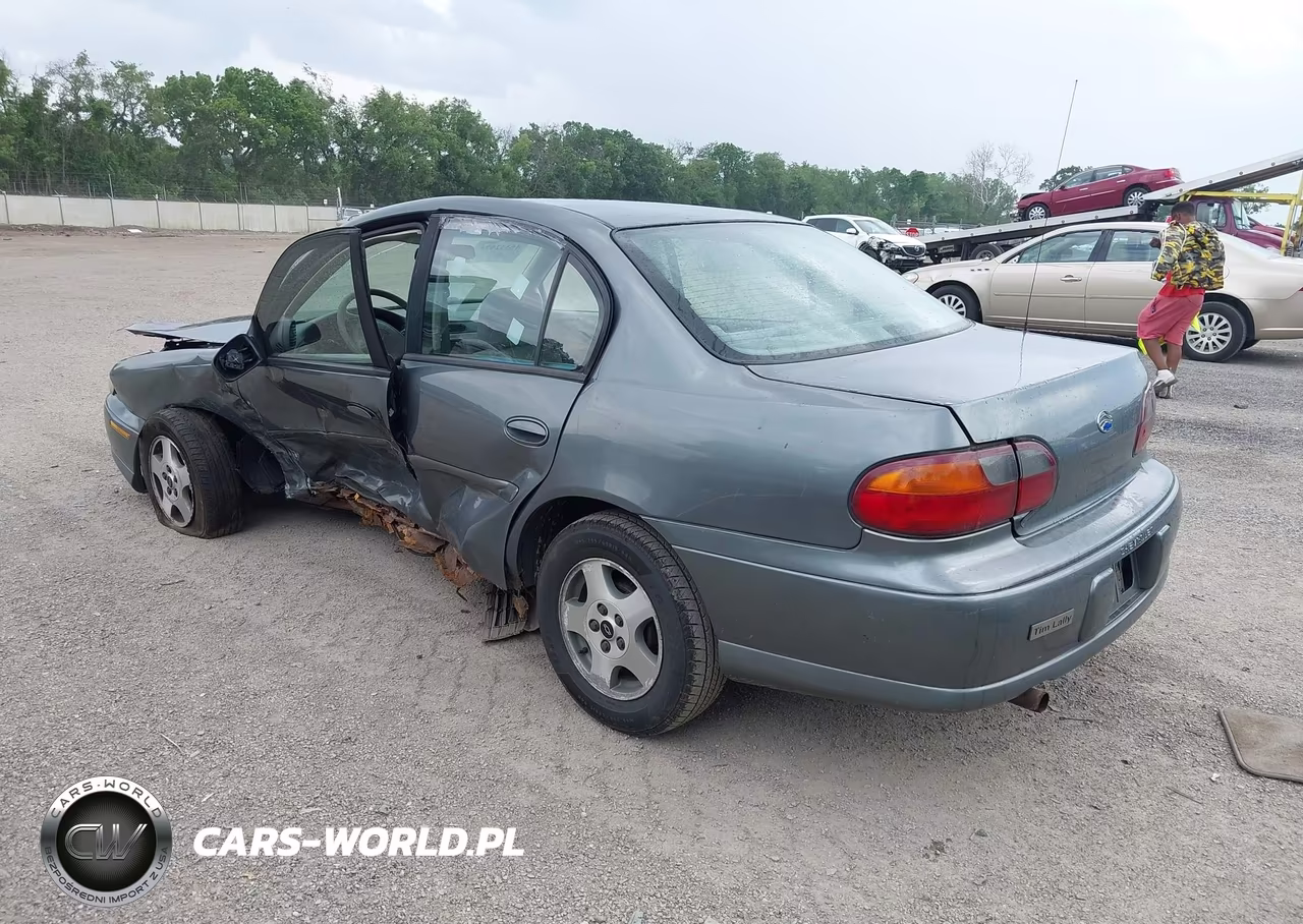 2005 Chevrolet Classic VIN:1G1ND52F95M229181 - 3