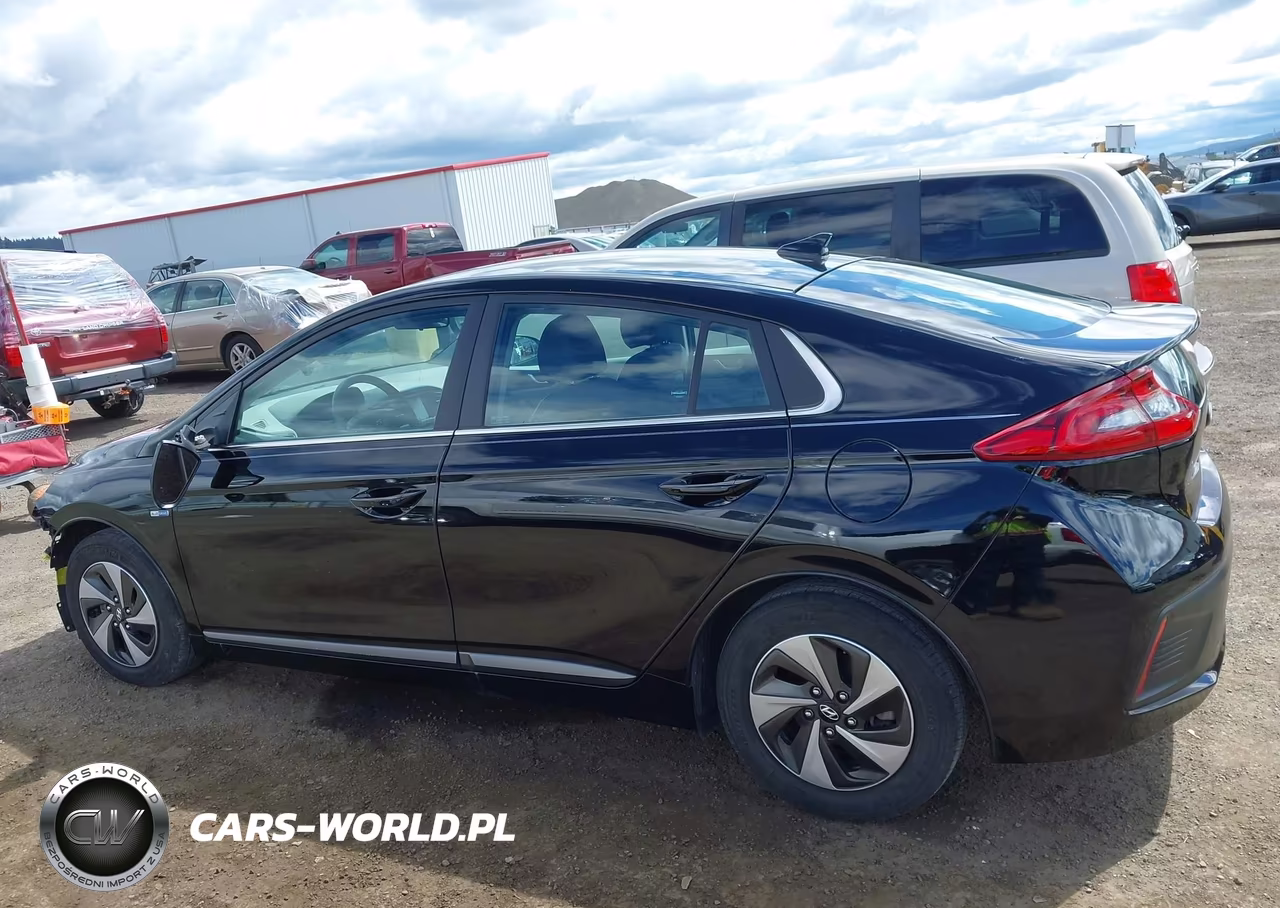 2019 Hyundai Ioniq Hybrid Sel VIN:KMHC75LC2KU129442 - 15