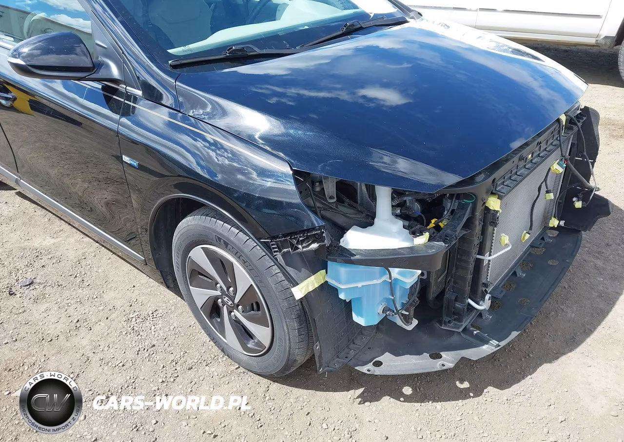 2019 Hyundai Ioniq Hybrid Sel VIN:KMHC75LC2KU129442 - 19
