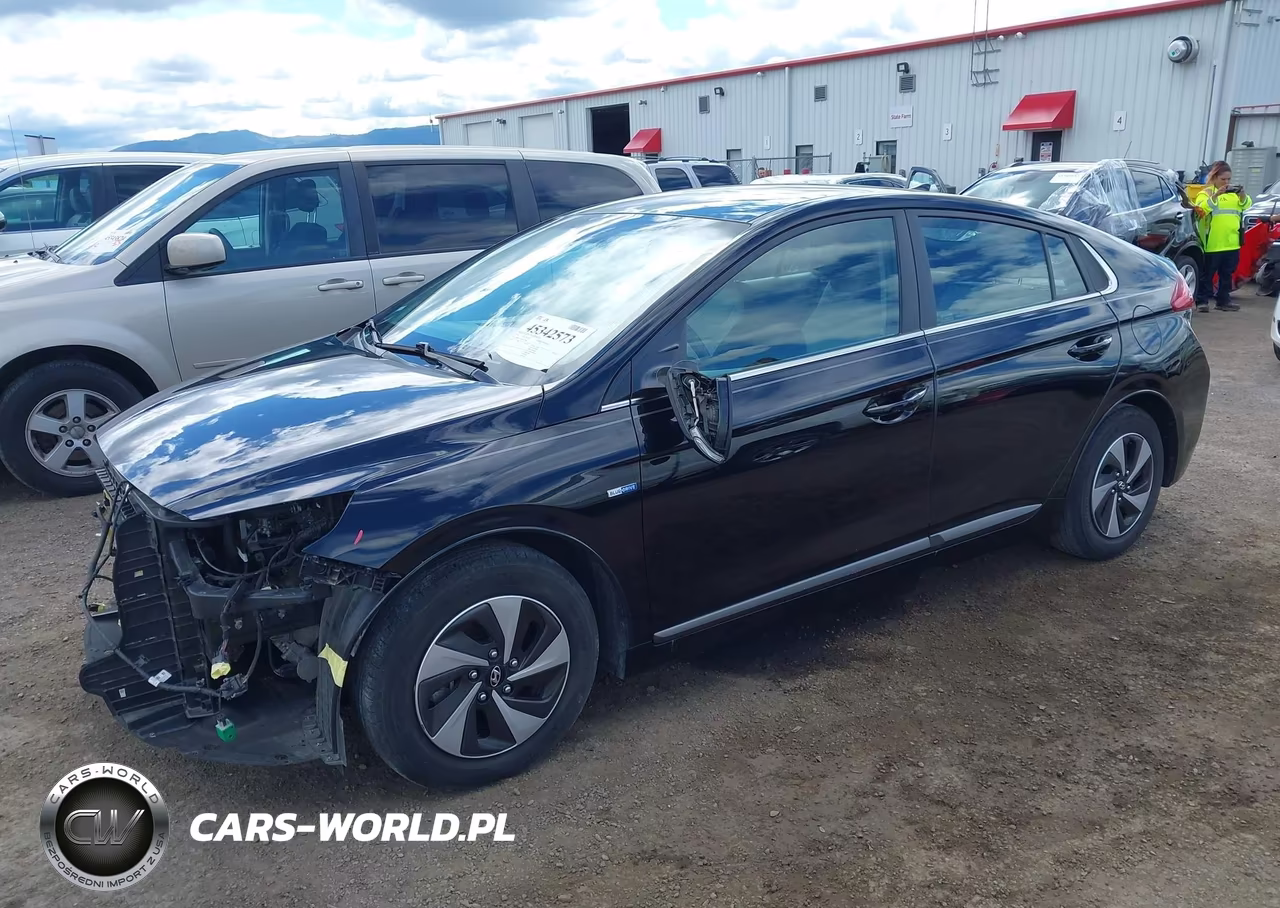 2019 Hyundai Ioniq Hybrid Sel VIN:KMHC75LC2KU129442 - 2