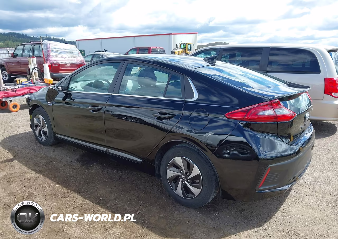 2019 Hyundai Ioniq Hybrid Sel VIN:KMHC75LC2KU129442 - 3