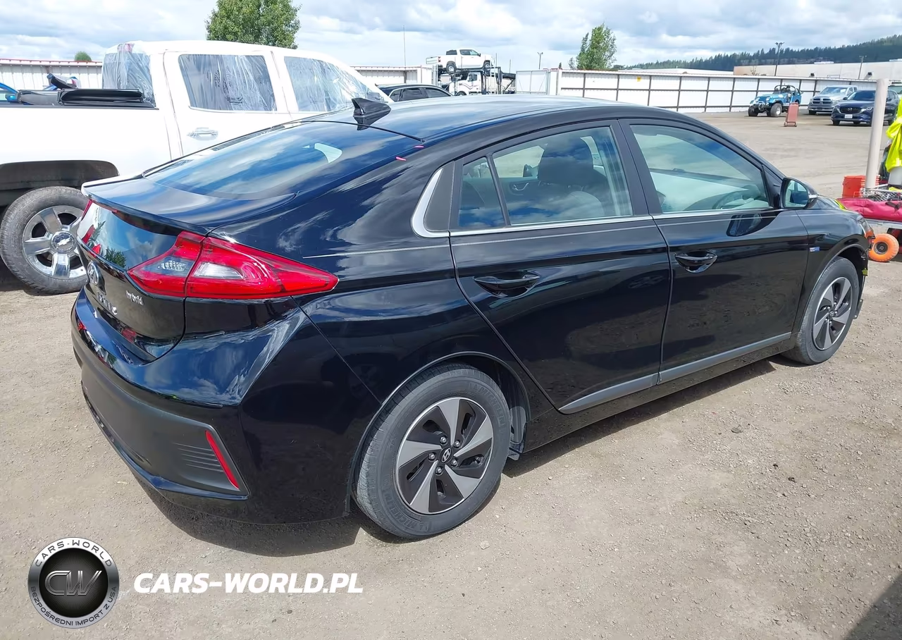 2019 Hyundai Ioniq Hybrid Sel VIN:KMHC75LC2KU129442 - 4