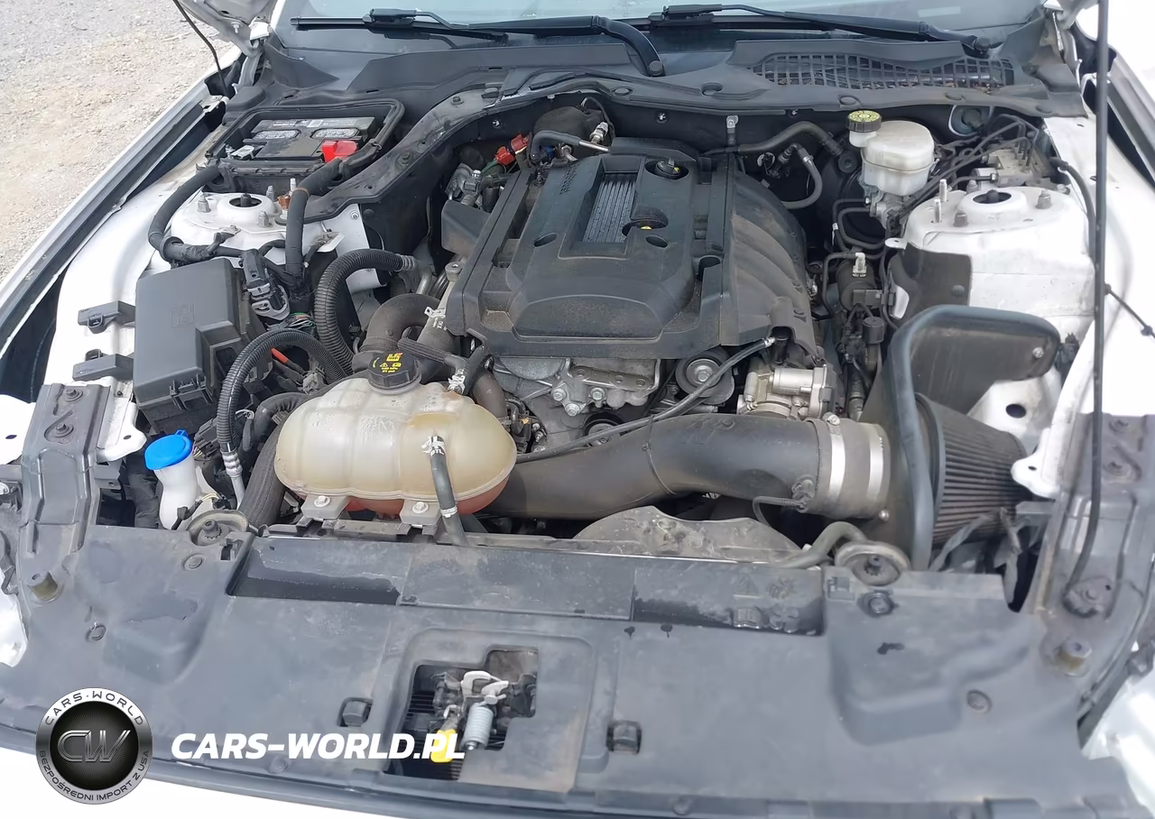 2020 Ford Mustang Ecoboost Fastback VIN:1FA6P8TH9L5103601 - 10