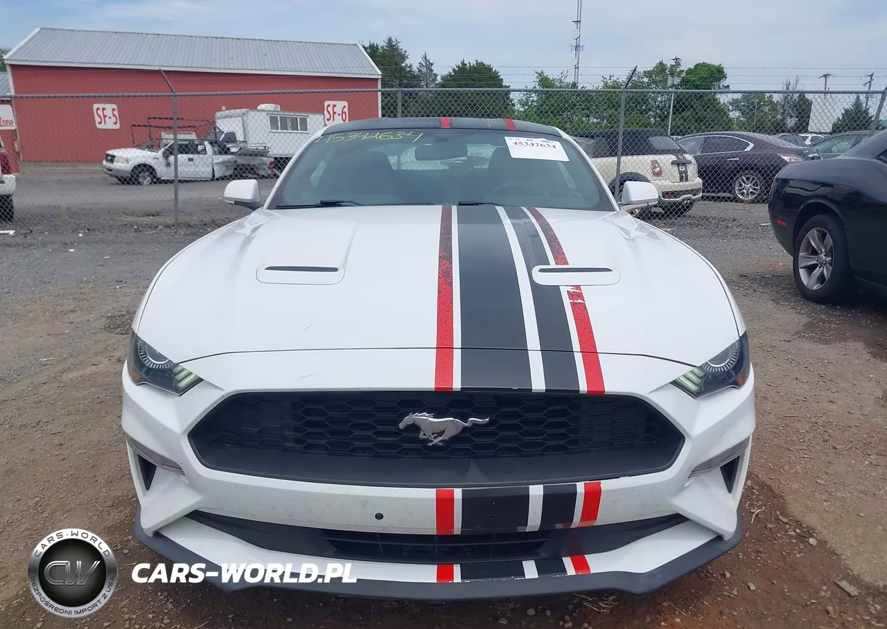 2020 Ford Mustang Ecoboost Fastback VIN:1FA6P8TH9L5103601 - 13