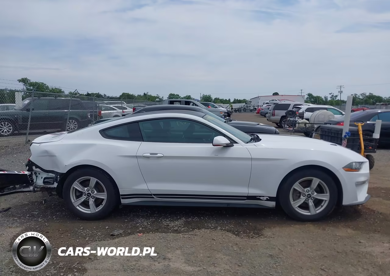 2020 Ford Mustang Ecoboost Fastback VIN:1FA6P8TH9L5103601 - 14