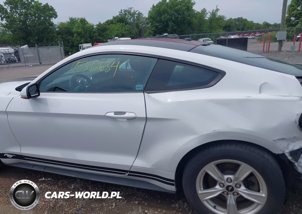2020 Ford Mustang Ecoboost Fastback VIN:1FA6P8TH9L5103601 - 15