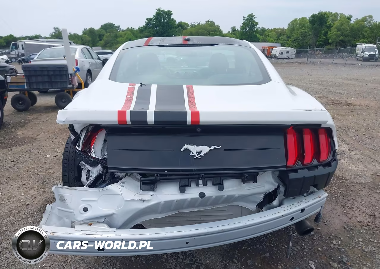 2020 Ford Mustang Ecoboost Fastback VIN:1FA6P8TH9L5103601 - 17