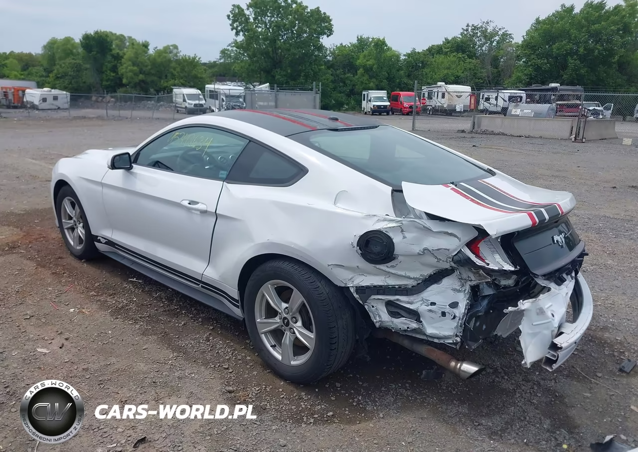 2020 Ford Mustang Ecoboost Fastback VIN:1FA6P8TH9L5103601 - 3