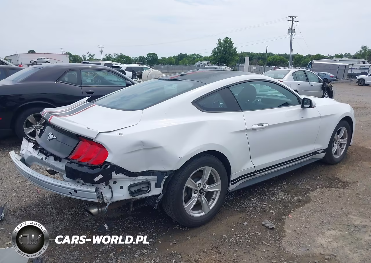 2020 Ford Mustang Ecoboost Fastback VIN:1FA6P8TH9L5103601 - 4
