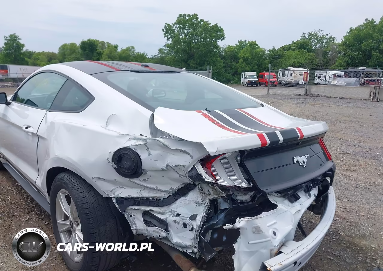 2020 Ford Mustang Ecoboost Fastback VIN:1FA6P8TH9L5103601 - 6