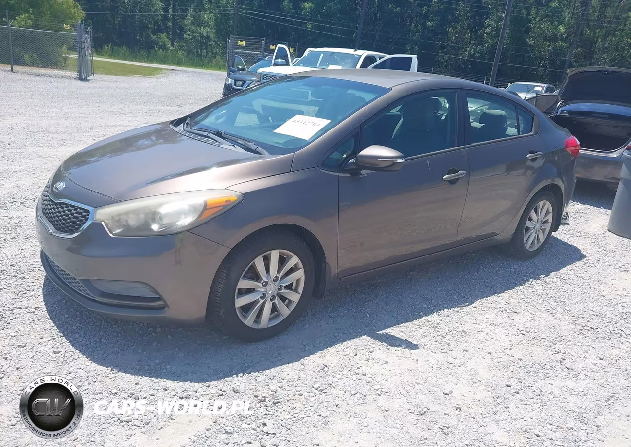2014 Kia Forte Lx VIN:KNAFX4A6XE5204506 - 2