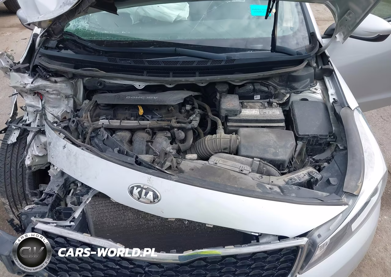 2018 Kia Forte Lx VIN:3KPFK4A76JE219223 - 10
