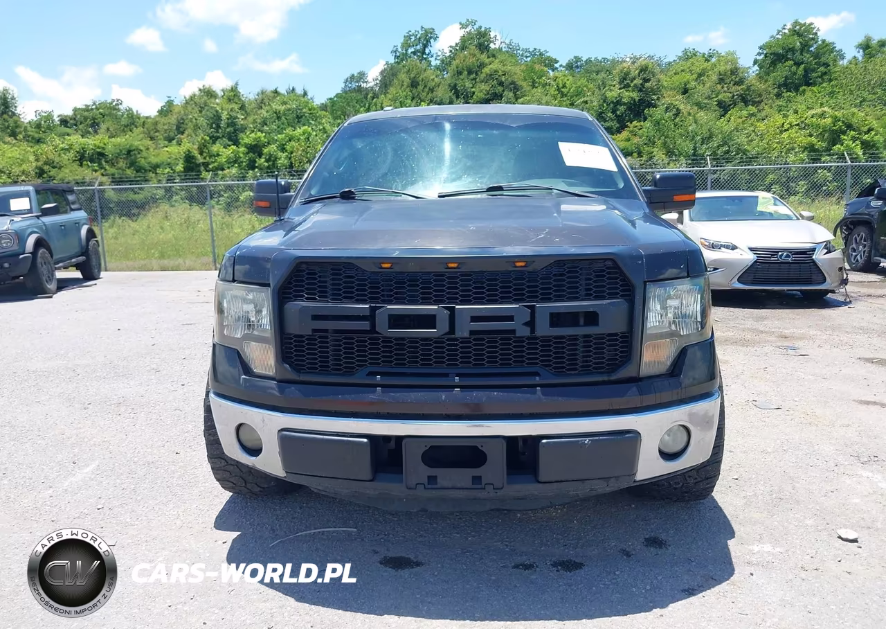 2013 Ford F-150 Xlt VIN:1FTFW1CF9DKF18830 - 12