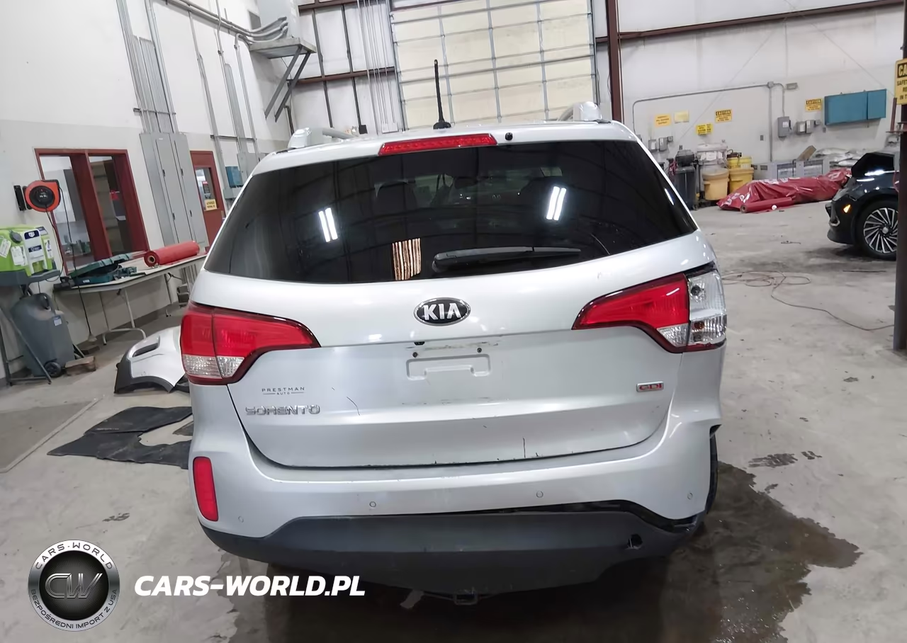 2014 Kia Sorento Lx VIN:5XYKTCA63EG483845 - 17