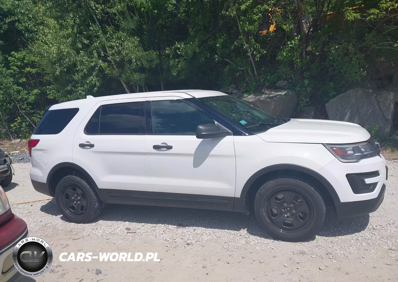 2017 Ford Utility Police Interceptor VIN:1FM5K8AR3HGC26365 - 13