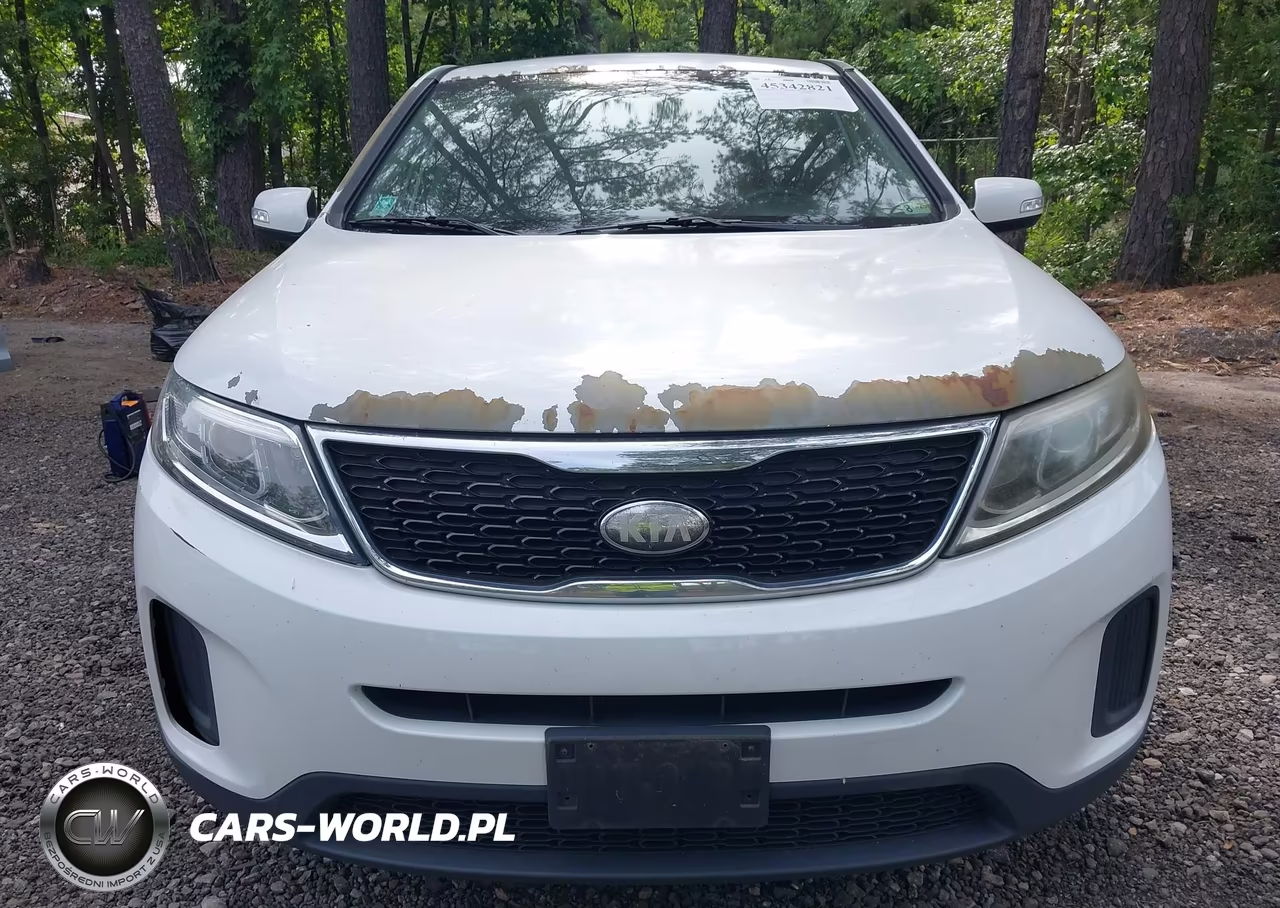 2014 Kia Sorento Lx VIN:5XYKT3A65EG459384 - 13