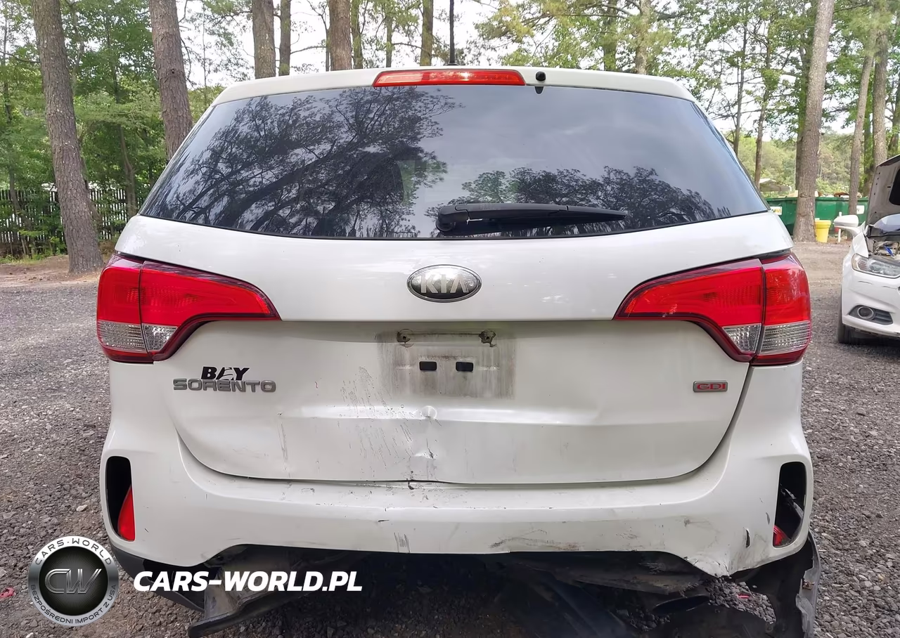 2014 Kia Sorento Lx VIN:5XYKT3A65EG459384 - 17