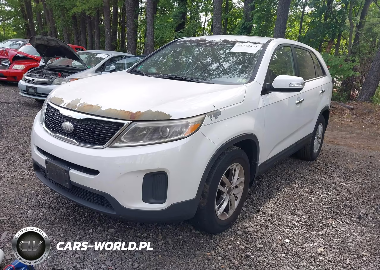 2014 Kia Sorento Lx VIN:5XYKT3A65EG459384 - 2