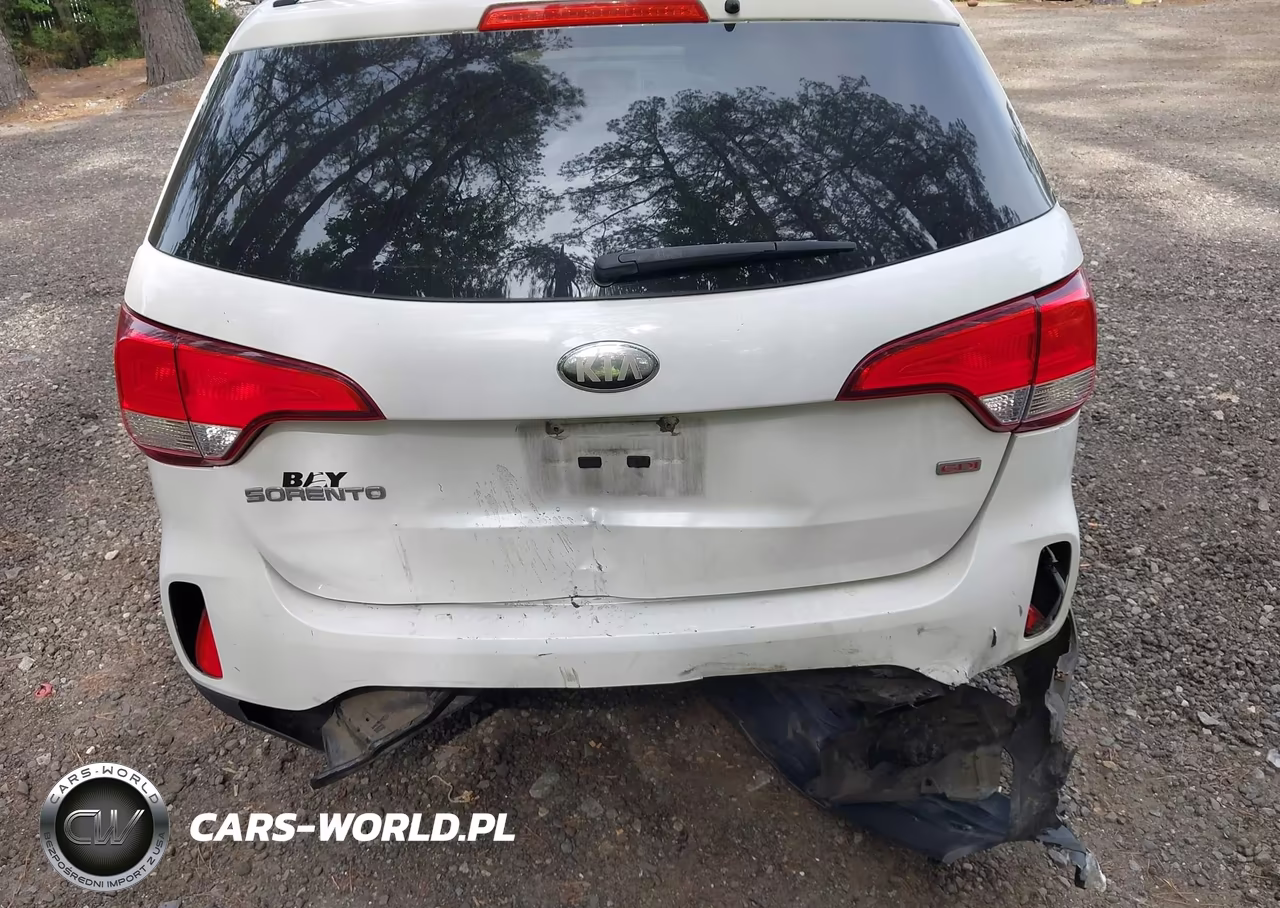 2014 Kia Sorento Lx VIN:5XYKT3A65EG459384 - 6
